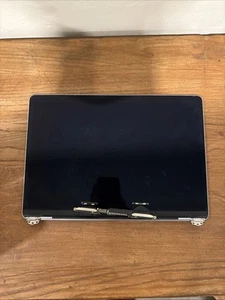 OEM Apple LCD Screen Assembly 13" MacBook Pro A1706 A1708 2016-2017. Space Gray - Picture 1 of 8