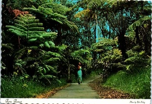 1960s 4"x6" HI Postcard Volcanoes National Park Fern Forest Rain Women Lady - Bild 1 von 2
