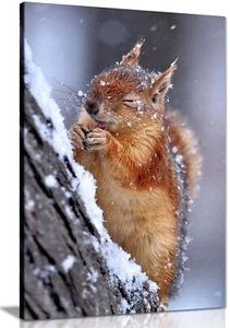 Chilly Cute Red Squirrel Wildlife Framed Canvas Print Wall Art Home Decor - Picture 1 of 6