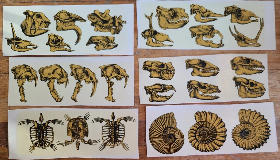 CALCOMANÍAS 6 hojas de calcomanías cerámicas esmaltadas de esqueleto/caveras animales Foto 1 de 1