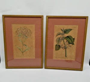 2 W Curtis St Georges Halbmond Drucke 1791 & 1792 Beschreibung siehe Fotos - Bild 1 von 20