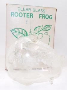 Vintage 60's Glass Rooter Frog Hanging Plant Rooter Clear Hand Blown As Is - Picture 1 of 8