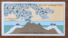 1924 Wills Do You Know Cigarette Card 2nd Series. #15 How a Coral Reef Is Formed
