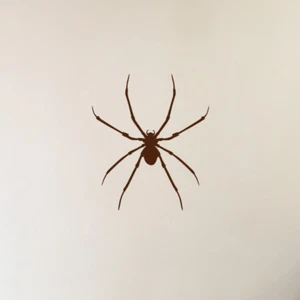 3x CALCOMANÍA DE PARED DE ESCALADA ARAÑA RECLUSA MARRÓN ARAÑA ESPELUZNANTE VENTANA DE HALLOWEEN - Imagen 1 de 2