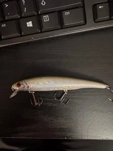 XPS silver gray jerkbait - Picture 1 of 5