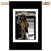 Central Florida Knights Banner/vertical Flag 27" X 37" Cover