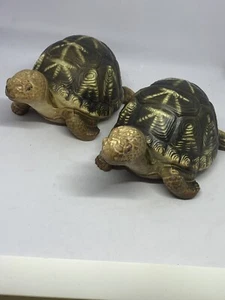 Turtles porcelain Japanese true to size 8.5x5x3.75 set of two vintage - Picture 1 of 7
