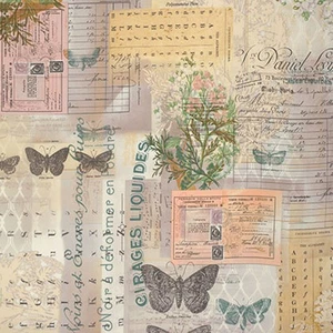 TIM HOLTZ ~ BOTÁNICO ~ Colección Fundamentos ~ Espíritu Libre ~ Mariposa, Flor - Imagen 1 de 1