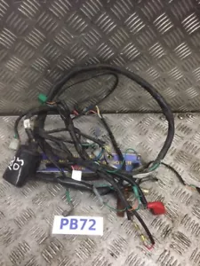 HONDA SCV100 wiring loom harness 2003 - Picture 1 of 1