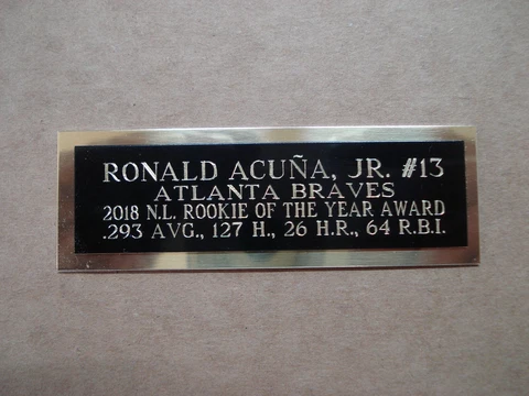 Ronald Acuna Jr. Atlanta Braves ROY Baseball Card Plaque Nameplate 1" X 3" Cover