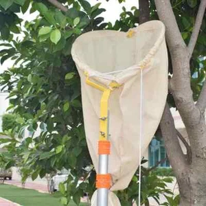 Bee Swarming Catcher Gather Beekeeper Tool Swarm Beekeeping Equipment Hive Cage - Picture 1 of 15
