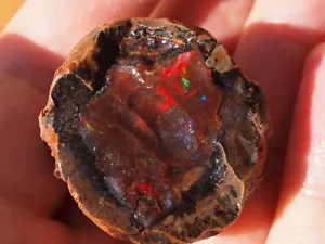 Opal Egg with Fire and Color Huge Top Gem Grade Ethiopian Shewa Opal Rough - Picture 1 of 6