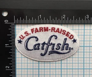 VINTAGE RARE US FARM RAISED CATFISH OVAL 2.75" IRON ON PATCH B5 - Picture 1 of 3