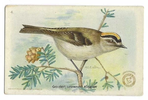 Golden Crowned Kinglet Useful Birds of America Card Arm & Hammer #4 1918 - Picture 1 of 2