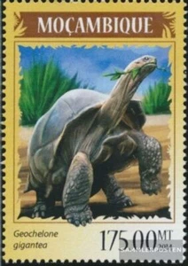 Stamps Mosambik 2014 Mi 7264 MNH 2014 Turtles - Picture 1 of 1