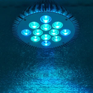 36W Cyan 495nm + Ice Blue 470nm PAR38 LED Lamp Spot Light Bulb Plant Aquarium - Picture 1 of 11
