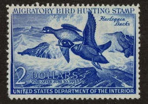 US Scott RW19 Mint No Gum - Crease - CV 15$ - Picture 1 of 2