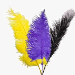 echtes Straußenfedern Set gefärbt in 3 Farben ca.55-65CM - Bild 1 von 4
