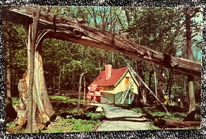 "The Old Mill" es el hogar del Jolly Miller en STORY BOOK FOREST Route 30 - Imagen 1 de 11