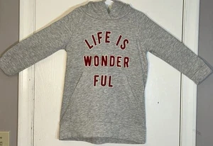 Zara Girl Sz 5 Dress French Terry Gray Long Sleeve Hood "Life is Wonderful" EUC - Picture 1 of 10