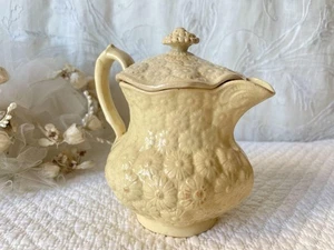 French Antique Bordeaux Kiln Pichet / Pitcher with Lid Featuring Daisy Relief - Picture 1 of 20