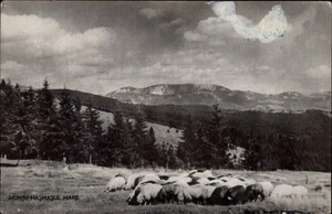 Postal de colección Muntii Hasmasul Mare Rumania s791 - Imagen 1 de 2