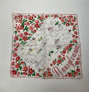 Vintage Pennsylvania State Souvenir Baumwolle Taschentuch Einstecktuch Blumen Einstecktuch - Bild 1 von 5