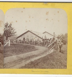 Line of Apple Pickers w/Ladders & Baskets Stereoview by Hinckley, Geneva NY - Picture 1 of 20