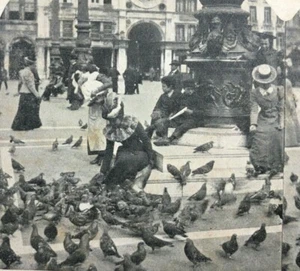 Venice, Italy Photo Stereoscope Card UNSUAL FEEDING PIGEONS Antique Vintage Old - Picture 1 of 7