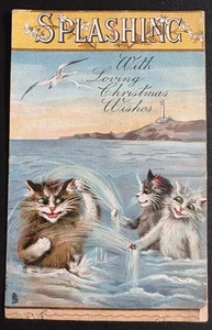 Maurice Boulanger Cats “Splashing”. Antique Raphael Tuck Postcard Used 1908 - Foto 1 di 2