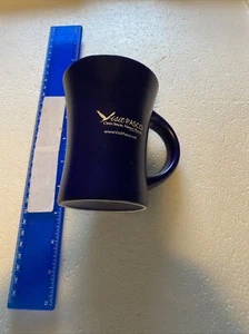 Visit Pasco County Florida Mug Blue New Port Richey Dade City  BC-384F - Picture 1 of 3