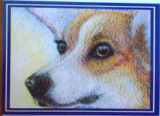 'THINKING OF YOU' BLANK GREETING CARD - SUSAN ALISON