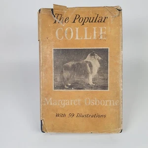 The Popular Collie Margaret Osborne First Ed Hardback HB DJ pub.  Popular Dogs - Picture 1 of 16