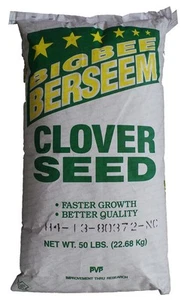 Berseem Clover Seed - 50 Lbs. - Picture 1 of 1