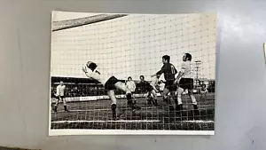 pro sesto foto originale 1975-76 goal giustacchini e berlucchi aavv - Foto 1 di 1