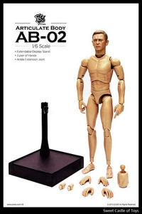 1/6 ZC Girl ZCWO Accessory Set Articulate Body AB-02 Agent James For HT DAM - Picture 1 of 4