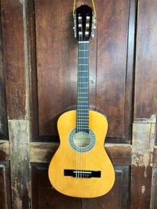 Guitarra Acústica Estudiante Lucida LG-510 Tamaño 1/2 Cuerda Nylon Clásica - Imagen 1 de 18