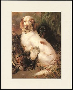 ENGLISH SETTER GORDON SETTER LOVELY LITTLE DOG PRINT MOUNTED READY TO FRAME - Picture 1 of 1