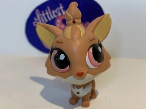 BENSON DETWYLER YORKIE DOG #3664 - Authentic Littlest Pet Shop - Hasbro LPS - Picture 1 of 4