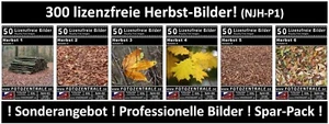 300 Lizenzfreie Profi-Bilder ! Jahreszeit Herbst Royalty Free Photoshop DVD - Bild 1 von 7