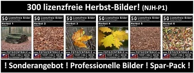 300 Lizenzfreie Profi-Bilder ! Jahreszeit Herbst Royalty Free Photoshop DVD - Bild 1 von 4