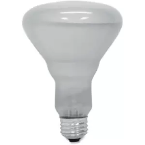 GE, GEL24705, Lighting BR30 Incandescent 65W Refl. Floodlight, 6 / Carton, White - Picture 1 of 1