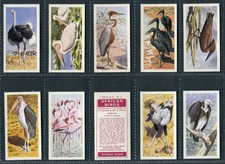 BROOKE BOND RHODESIAN - AFRICAN BIRDS, BUTTERFLIES OF THE WORLD - PICK YOUR CARD