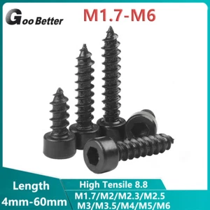 M1.7-M6 M3 M4 Allen Socket Cap Self Tapping Screws Key Wood Screw Carbon Steel - Picture 1 of 12