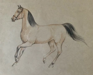 Original Brown Horse Zeichnung auf braunem Papier, Größe 17-1/2" mal 13-1/2" - Bild 1 von 4