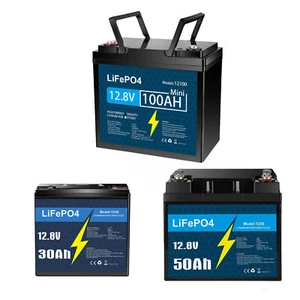 LiFePO4 Lithium Battery 12V 100Ah 50Ah 30Ah with BMS for RV Trolling Motor US - Picture 1 of 24