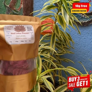 Dried Red Lotus| Nymphaea Rubra 100% Hand Picked Ceylon Natural Organic Herb Tea - Picture 1 of 12