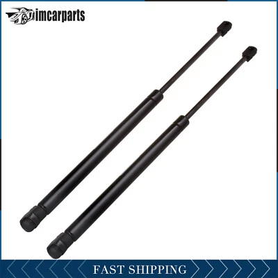 Rear Liftgate Hatch Tailgate Lift Supports Gas Fits for 2003-2008 Toyota Matrix Foto 1 de 4