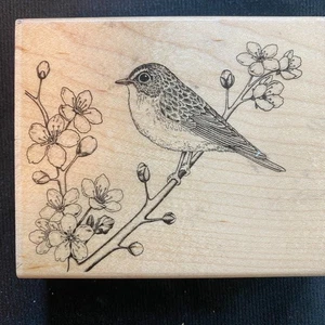Sparrow Bird on Cherry Blossom Branch Rubber Stamp Spring 4x3 inch - Picture 1 of 5