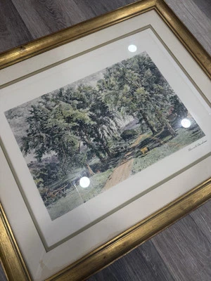 Marco de fotos paisaje inglés de colección/único Foto 1 de 4